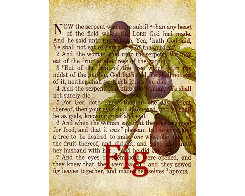 Christian art print of Figs with Bible verses for Etsy