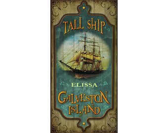 Galveston Island Tall Ship Elissa, Texas Poster print