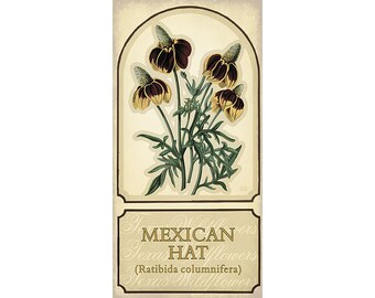 Mexican Hat Wildflower Poster