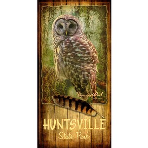 Poster of Huntsville State Park, Texas