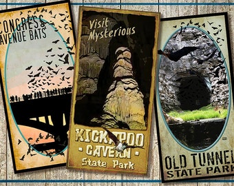Batty for Texas Poster