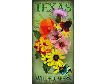Lady Bird Johnson Wildflower Center- Texas Fantasy Travel 13 X 19