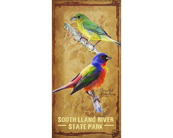 South Llano River State Park Texas Parks Poster Etsy