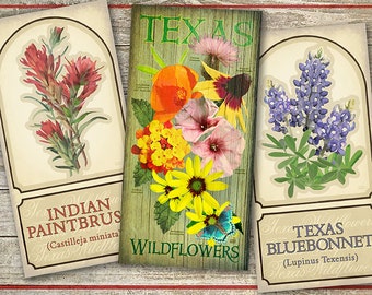 Poster Memories of Texas Spring Wildflowers Group 2