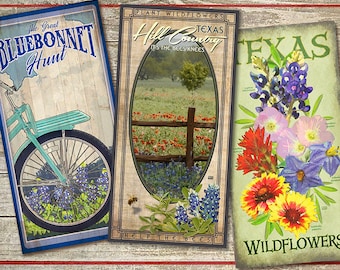 Poster Memories of Texas Spring Wildflowers Group 3