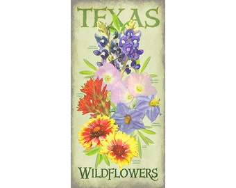 Poster of Favorite Texas Wildflowers