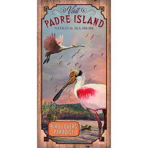 Padre Island National Seashore, Texas Bird Lovers Poster