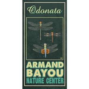 Armand Bayou Dragonfly Poster