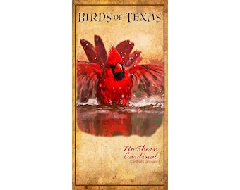 Birds of Texas, Cardinal Poster