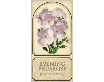 Evening Primrose Wildflower Poster