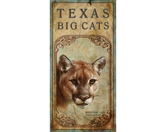 Texas Mountain Lion Poster