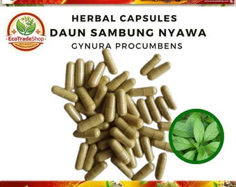 Cápsula de Sambung Nyawa PURO, (Gynura Procumbens), suplementos de hierbas culinarias de especias silvestres orgánicas naturales frescas