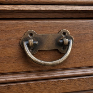May include: A medium brown wooden drawer front featuring a horizontal grain pattern and a decorative antique brass finish metal drop handle. The handle is attached to a rectangular backplate with rounded edges and four visible screw holes.