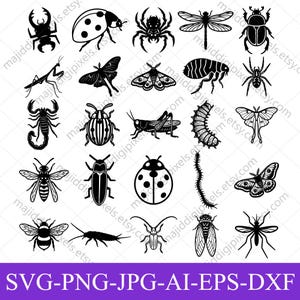 Pacchetto di file SVG di insetti, file SVG di insetti, coleottero SVG, coccinella SVG, libellula SVG, farfalla SVG, clipart di scorpione, file di taglio per Cricut, PNG EPS DXF