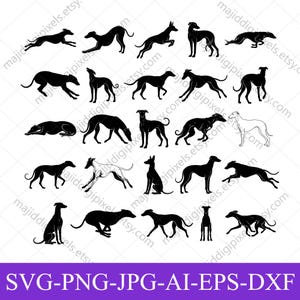 Puede incluir: Una colección de siluetas negras de perros galgos en varias poses, incluyendo correr, estar de pie y sentarse. La imagen presenta múltiples ilustraciones de perros, perfectas para proyectos de arte digital. La parte inferior de la imagen tiene el texto "SVG-PNG-JPG-AI-EPS-DXF".