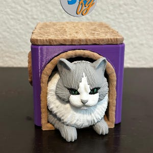 Purr-fect Cat Hideout Deck Box – MTG Commander Vault | Cozy Feline Storage