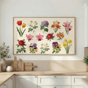 Könnte beinhalten: Ein gerahmter botanischer Druck mit farbenfrohen Blumenillustrationen. Das Kunstwerk zeigt verschiedene Blüten, darunter Tulpen, Rosen, Orchideen und Stiefmütterchen, im Vintage-Stil. Der Druck hängt über einer Küchenarbeitsplatte.