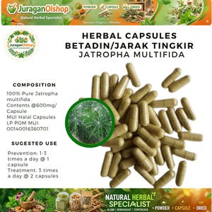 Puede incluir: Imagen de cápsulas herbales, con texto que indica el nombre y los ingredientes del producto. Las cápsulas son de color verde claro y están dispersas sobre un fondo blanco. El texto incluye las palabras "Herbal Capsules" y "Jatropha Multifida."