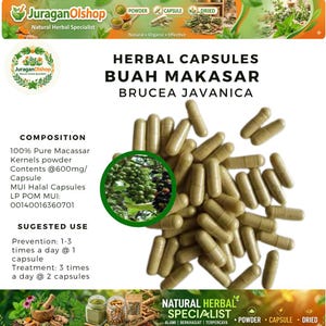 Op de afbeelding: Een afbeelding van kruidencapsules met de tekst "Herbal Capsules Buah Makasar Brucea Javanica". De capsules zijn lichtbruin en verspreid over een witte achtergrond. De afbeelding bevat ook tekst over de samenstelling en het gebruik van het product.