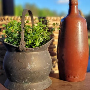 May include: A dark metal bucket with a handle, filled with green foliage, stands beside a brown bottle. The bottle has a narrow neck and the word "LISBOA" is embossed. The background is blurred, with a wicker basket visible.