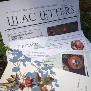 May include: A collection of printed informational cards titled Lilac Letters, featuring a September edition on rose hips. The cards include a foraging guide, a recipe for Nypponsoppa Swedish rosehip soup, and botanical illustrations of rose hips.