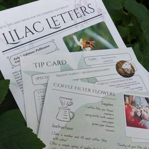 May include: A collection of printed informational sheets titled Lilac Letters, Tip Card, and Coffee Filter Flowers. The documents feature text, diagrams, and photographs of a bee, a butterfly, and handmade flowers, providing instructions for crafts.