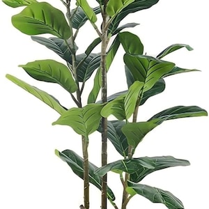 May include: A tall artificial Fiddle Leaf Fig tree with large, vibrant green leaves. The plant has multiple brown stems and is potted in a cream-colored cylindrical pot. The leaves have prominent veins, adding to the realistic appearance.