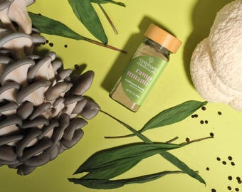 Ramp Umami Seasoning Blend