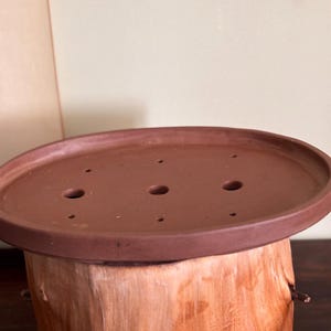 May include: A brown, oval bonsai pot with drainage holes, on a wooden base. The pot has a smooth finish and is for small trees or shrubs. The wooden base has a natural, textured appearance. The pot's dimensions are in centimetres.