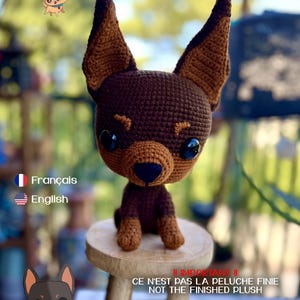 Peut inclure: Une poupée Chihuahua au crochet marron et beige, avec de grands yeux noirs et un nez noir, assise sur un petit tabouret en bois. L'image comprend le texte "poppy pop Chihuahua" et "CE N'EST PAS LA PELUCHE FINIE NOT THE FINISHED PLUSH".