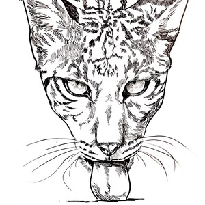 May include: A detailed black and white ink drawing of a leopard's face, with its tongue extended. The artwork features intricate linework, capturing the animal's fur pattern and intense gaze. The artist's signature is at the bottom.