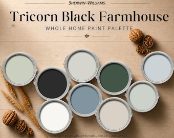 Tricorn Black Farmhouse Whole House Paint Color Palette