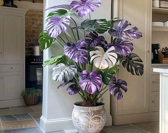 300+ Monstera Deliciosa Seeds – Tropical Indoor & Outdoor Rare Plant Seeds