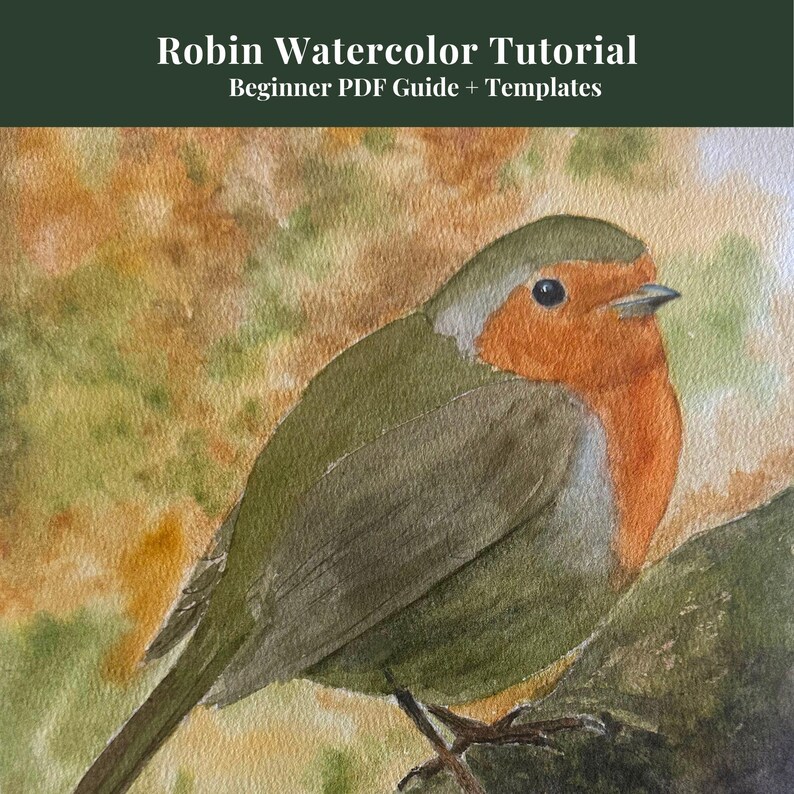 Tutorial de acuarela de Robin en PDF / Guía de pintura para principiantes con plantillas (Descarga digital) imagen 1