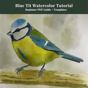 May include: Watercolor painting of a blue tit bird perched on a branch. The bird has a blue head, green wings, and a yellow breast. The image includes the text "Blue Tit Watercolor Tutorial" and "Beginner PDF Guide + Templates".