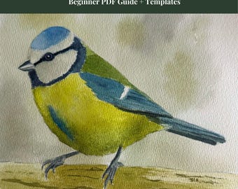 Tutorial de acuarela de herrerillo común en PDF para principiantes / Guía paso a paso para pintar aves / Lección de acuarela imprimible