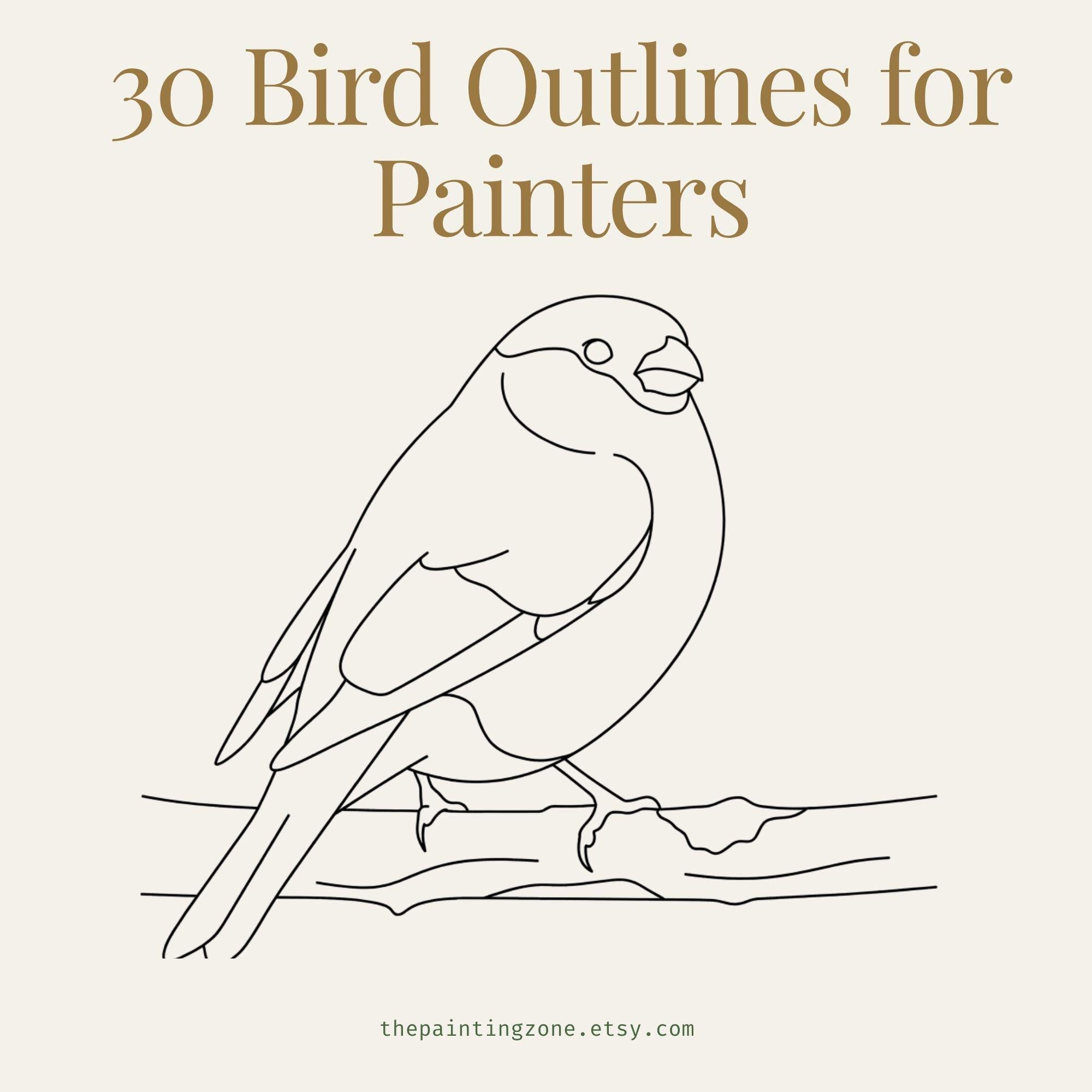 30 Bird Outlines for Painters – Print & Trace Drawing Templates (PDF ...