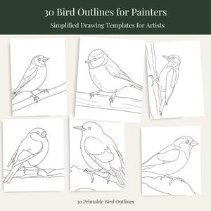 May include: Six white paper sheets with black line drawings of birds. The top text reads "30 Bird Outlines for Painters" and "Simplified Drawing Templates for Artists". The bottom text reads "30 Printable Bird Outlines".