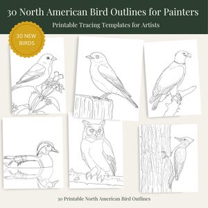 May include: A collection of 30 North American bird outlines for painters, featuring printable tracing templates. The image displays six black and white line drawings of various birds, including an eagle, an owl, and a duck, with a gold seal stating 30 NEW BIRDS.