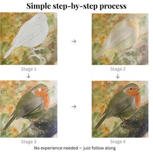 Puede incluir: Un tutorial paso a paso de pintura a la acuarela de un petirrojo. La imagen muestra el proceso en cuatro etapas, desde un boceto a l&aacute;piz hasta una pintura terminada. El texto dice: "Simple step-by-step process" y "No experience needed - just follow along."