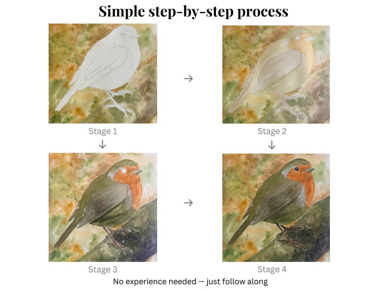 Puede incluir: Un tutorial paso a paso de pintura a la acuarela de un petirrojo. La imagen muestra el proceso en cuatro etapas, desde un boceto a l&aacute;piz hasta una pintura terminada. El texto dice: "Simple step-by-step process" y "No experience needed - just follow along."