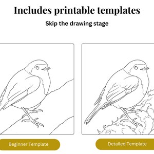Puede incluir: Dos plantillas de p&aacute;jaros para colorear, una etiquetada como "Plantilla para principiantes" y la otra como "Plantilla detallada". La imagen incluye el texto "Incluye plantillas imprimibles" y "Omite la etapa de dibujo".