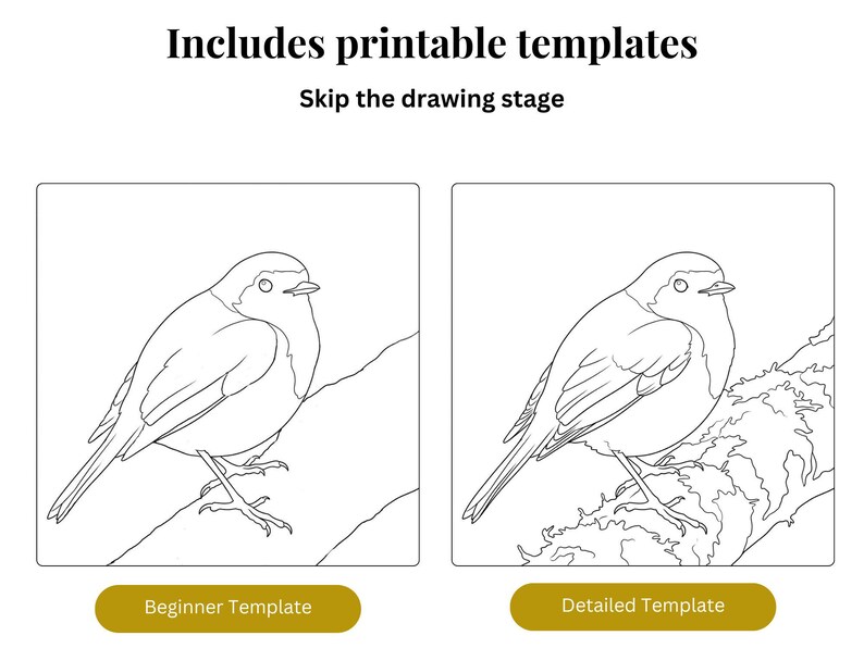 Puede incluir: Dos plantillas de p&aacute;jaros para colorear, una etiquetada como "Plantilla para principiantes" y la otra como "Plantilla detallada". La imagen incluye el texto "Incluye plantillas imprimibles" y "Omite la etapa de dibujo".