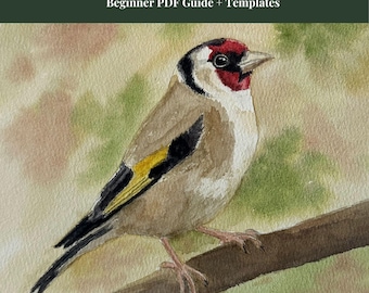 Tutorial en PDF para principiantes sobre cómo pintar un jilguero en acuarela / Guía paso a paso para pintar aves / Incluye dibujo lineal imprimible