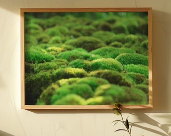 Op de afbeelding: Een ingelijste print met een close-up van weelderig groen mos. Het mos heeft een textuur, wat wijst op een natuurlijke omgeving. De lijst is gemaakt van lichtgekleurd hout en het kunstwerk hangt aan een witte muur.