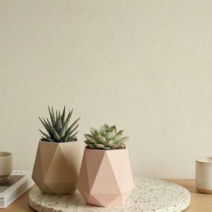 Può includere: Due fioriere geometriche, una beige e una rosa, ciascuna con una pianta succulenta. Le fioriere sono su un vassoio rotondo e maculato. Lo sfondo è di colore beige chiaro uniforme.