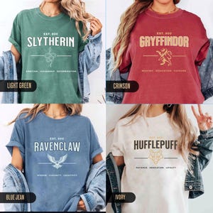 Unisex Wizarding school house T-shirt | Universal shirt | fandom t-shirt