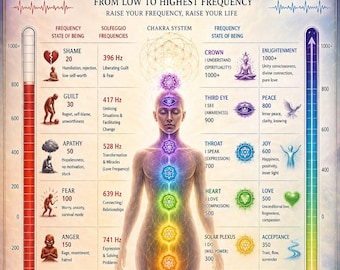 FREQUENCY SCALE REFERENCE [Digital Download]
