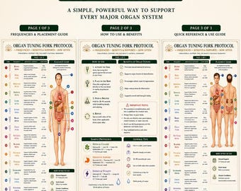 Diapason per organo [Riferimento migliorato - 4 pagine]