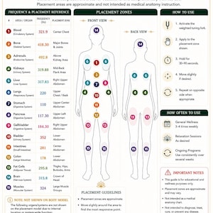 Könnte beinhalten: Eine 15-Organ-Stimmgabel-Platzierungstabelle mit einer nummerierten Frequenz- und Platzierungsreferenztabelle, Körperdiagrammen von vorne und hinten mit farbigen Zonen sowie Anweisungen zur Anwendung und Häufigkeit der Nutzung.